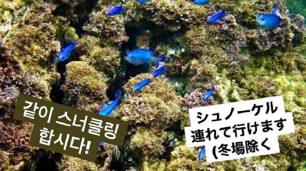 فندق بلاج يوييجاهاما كاماكورا المظهر الخارجي الصورة